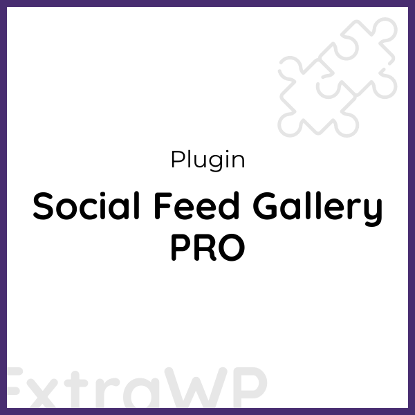 Social Feed Gallery PRO